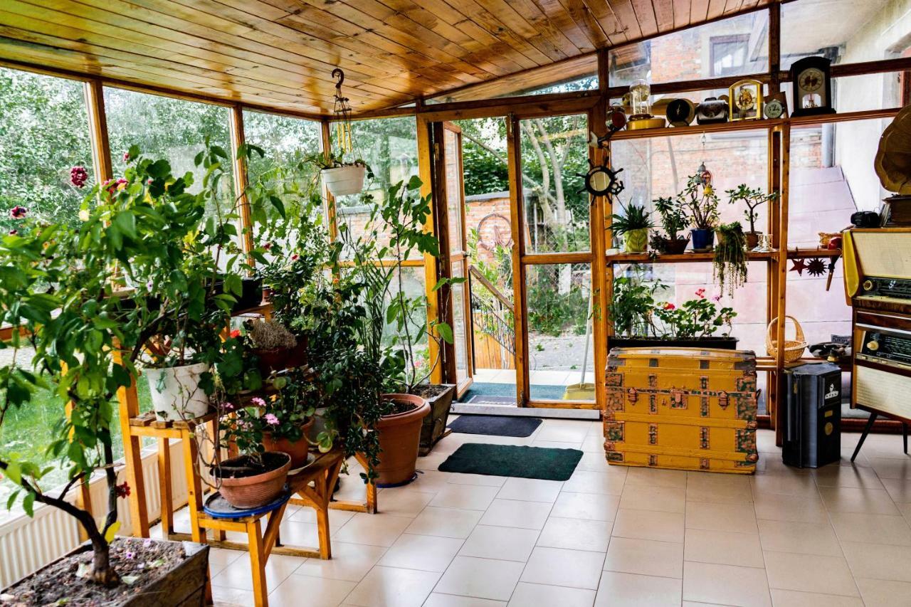 Hostel Villa Roma Lviv Eksteriør bilde